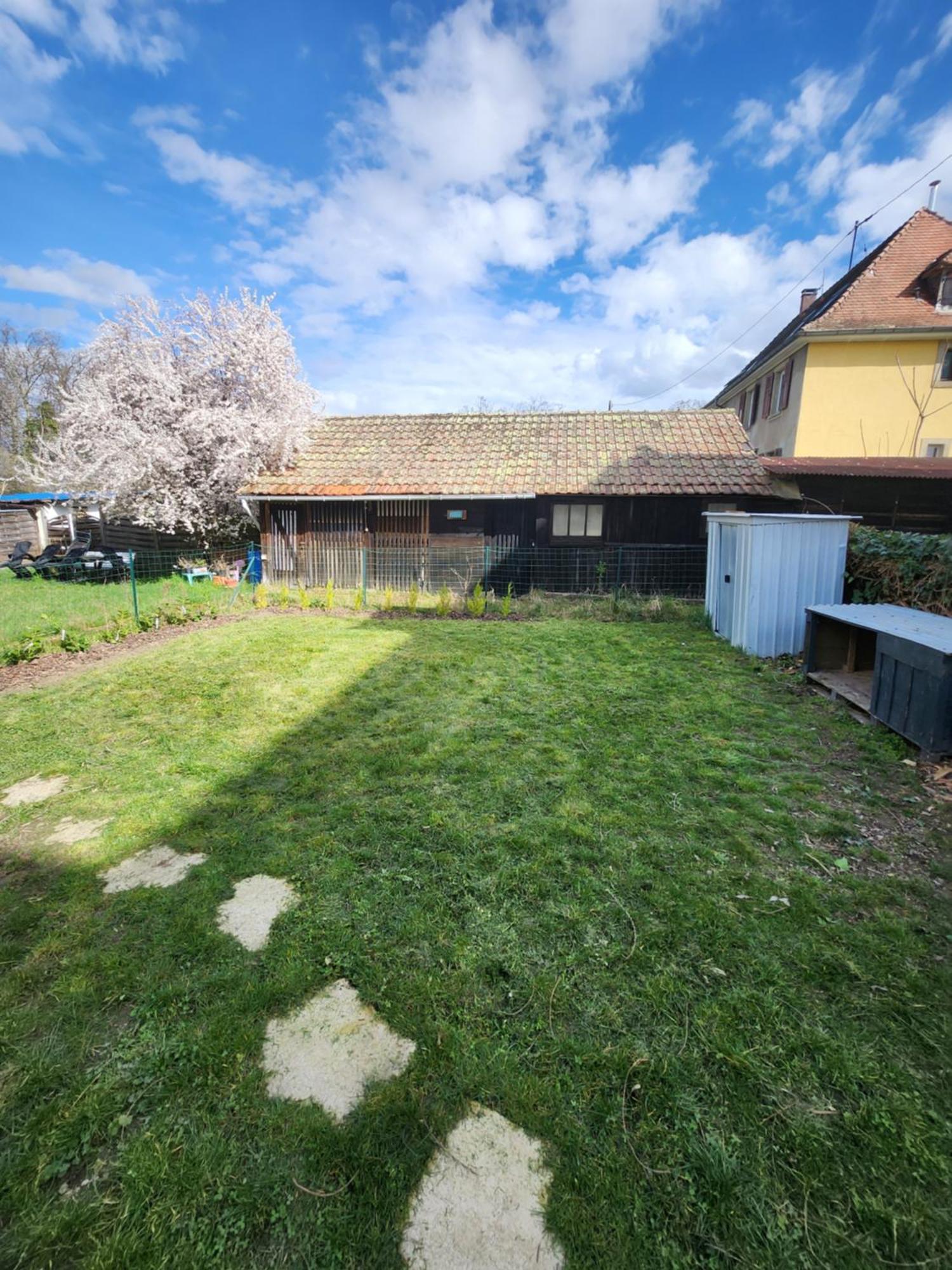 Gite Du Logelbach Wintzenheim Esterno foto