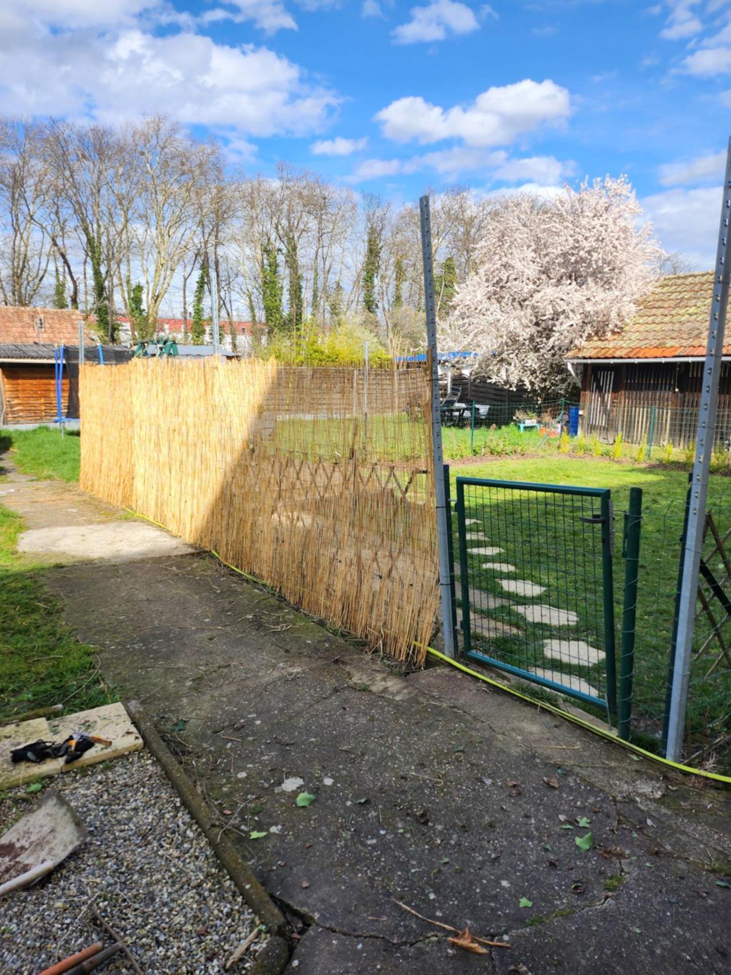 Gite Du Logelbach Wintzenheim Esterno foto